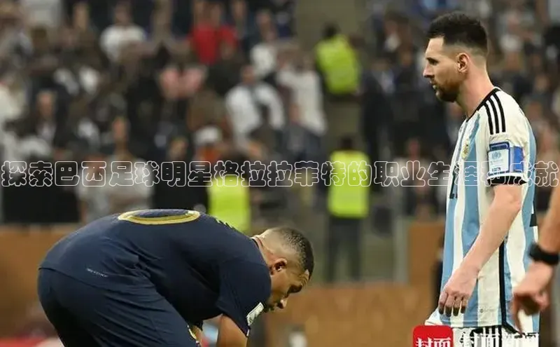 杏悦娱乐网页版顺丰