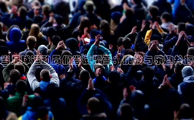 杏悦APP官方网站入口百度手机助手