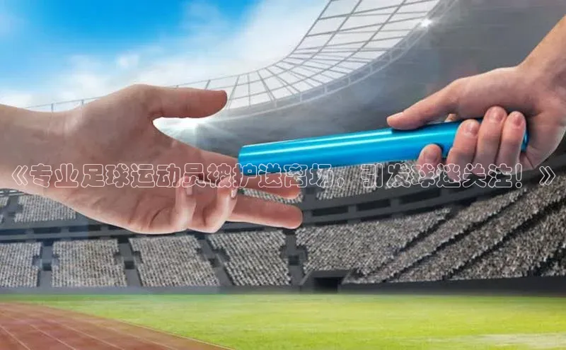 杏悦娱乐正版官方网站华策影视