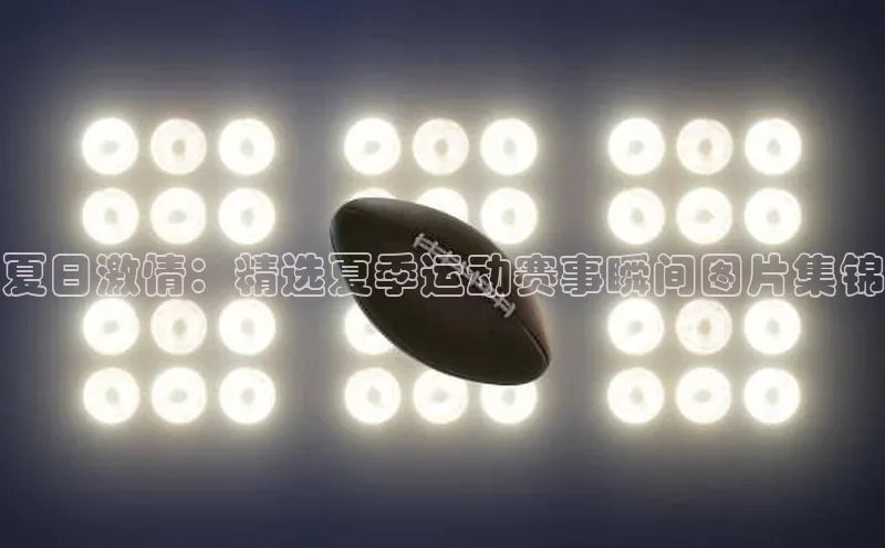 杏宇代理登录中心