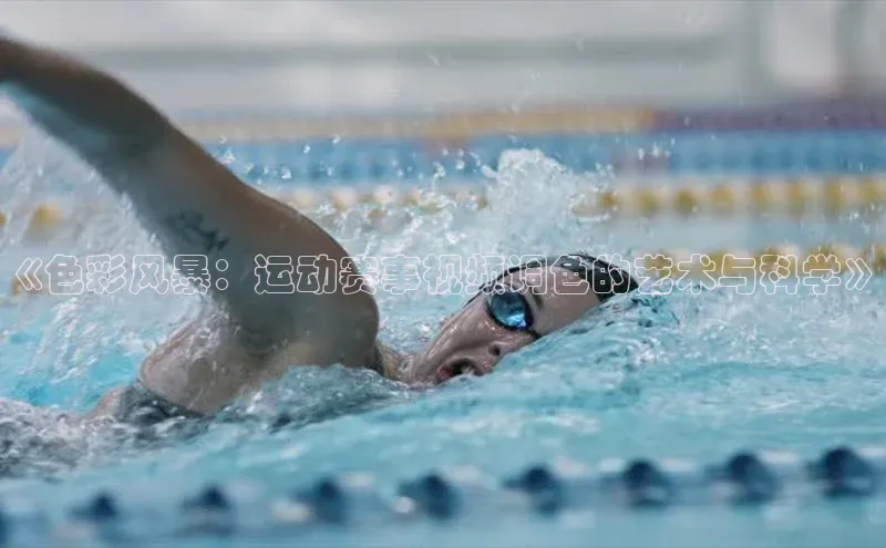 杏宇平台登录入口注册账号