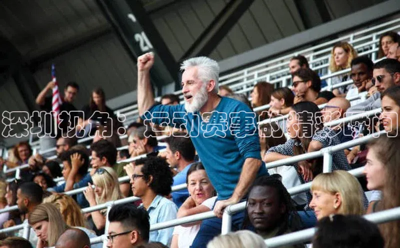 杏宇代理登录中心