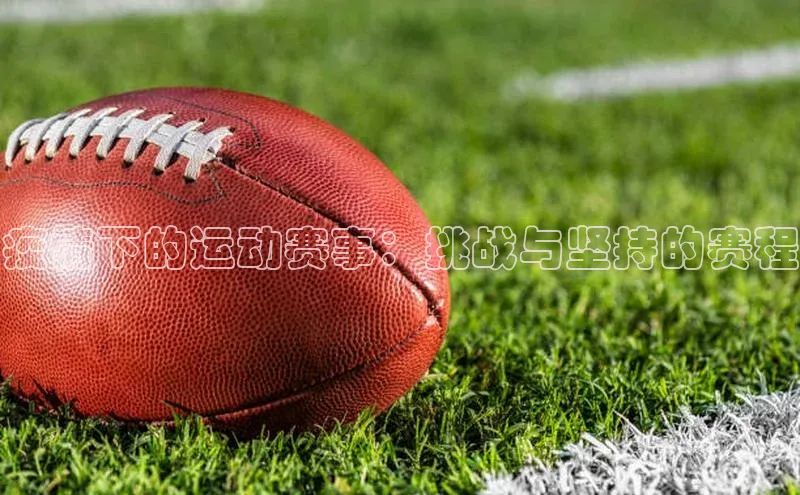 杏宇代理登录中心