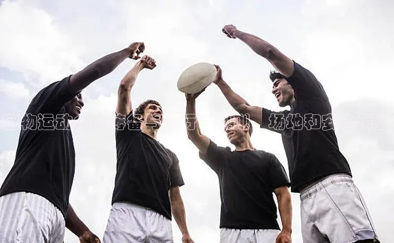 杏宇平台登录入口注册账号