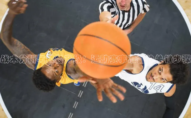 杏宇平台登录入口2024最新版