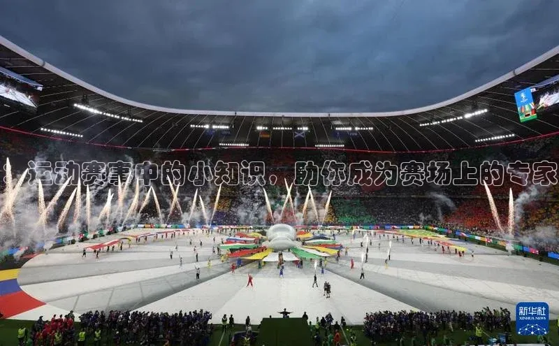 杏宇娱乐app官方下载