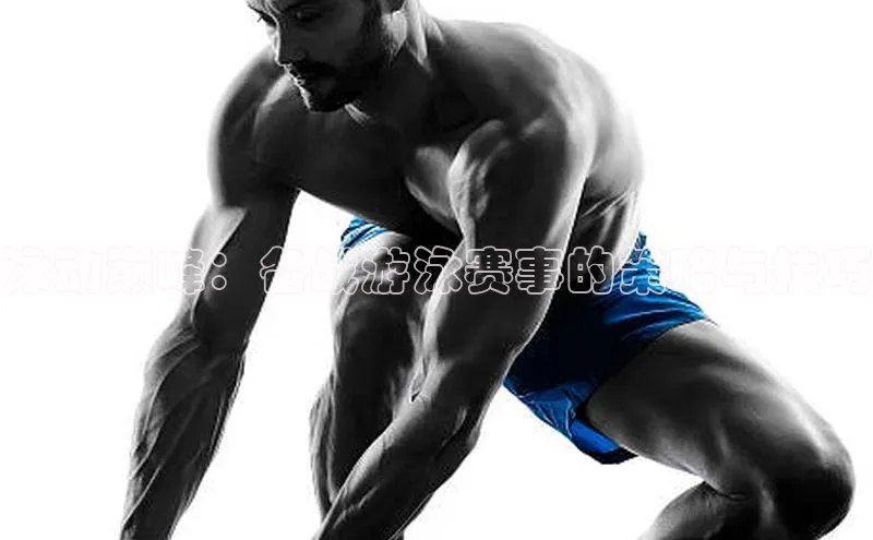 杏宇平台登录入口2024最新版