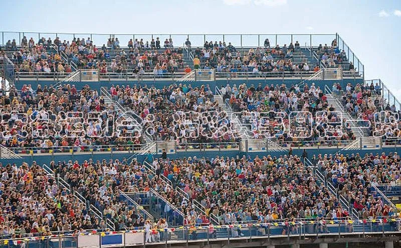 杏宇平台登录入口注册账号