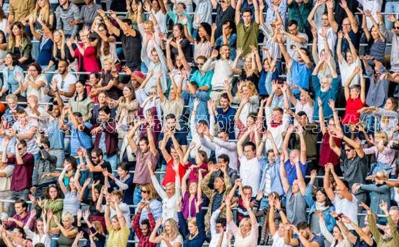 杏宇手游官网入口最新版本更新内容