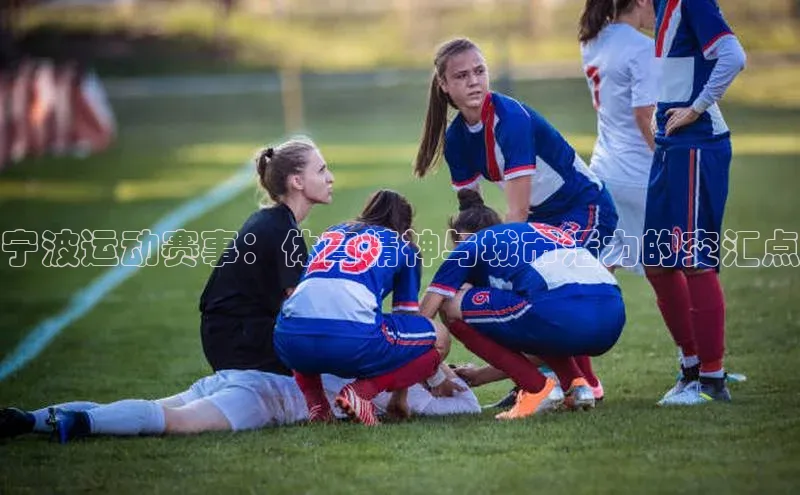 杏宇娱乐平台登录