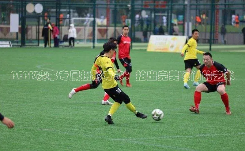 杏宇娱乐app官方下载