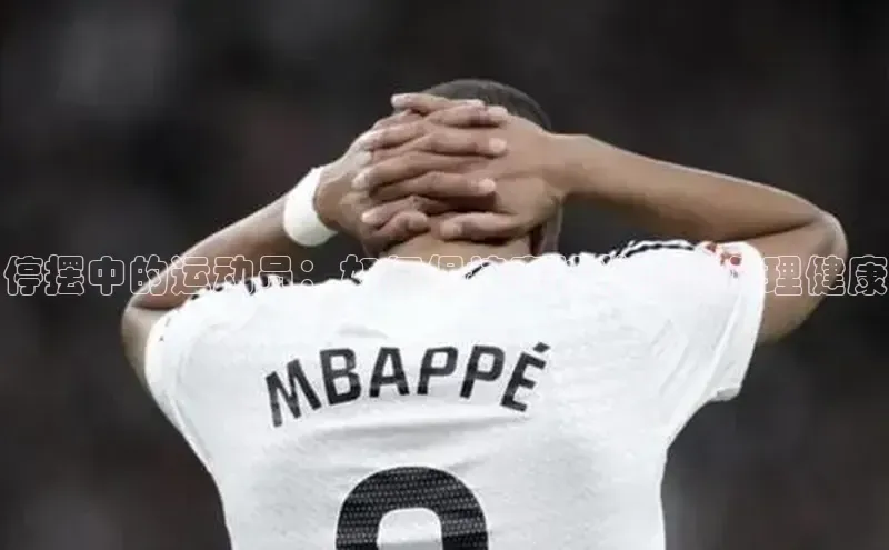 杏宇平台登录官网