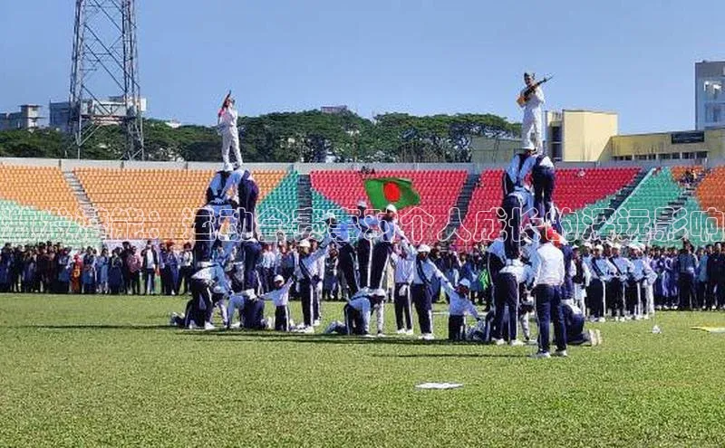 杏宇平台登录官网