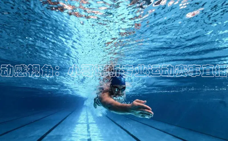 杏宇手游官网入口最新版本更新内容