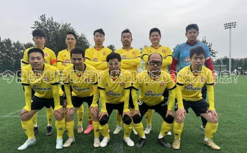 杏宇平台登录入口注册账号