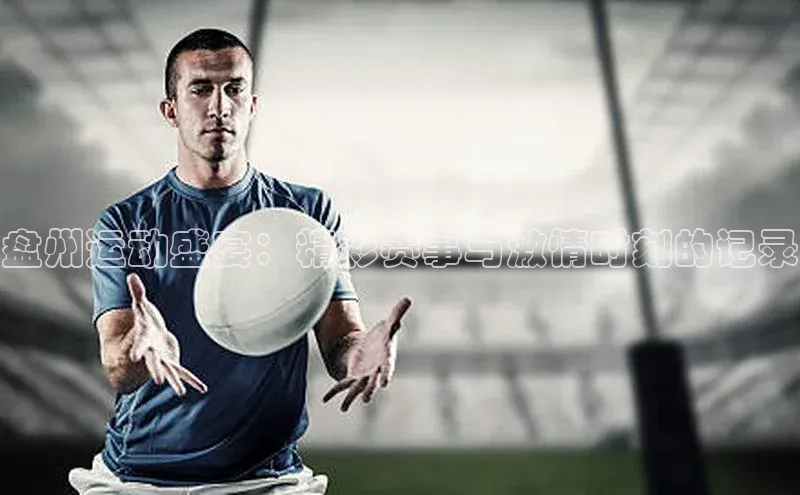 杏宇代理登录中心