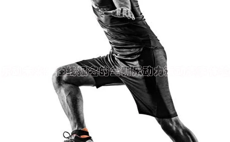 杏宇平台登录入口2024最新版