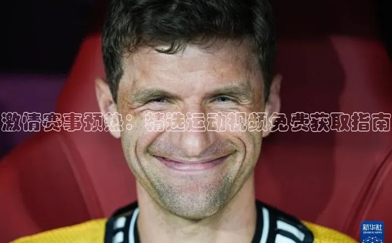 杏宇手游官网入口最新版本更新内容