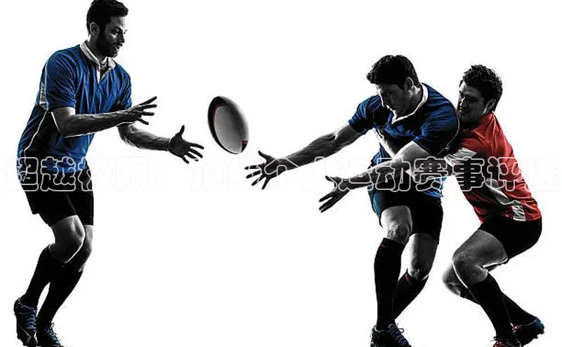 杏宇平台登录入口注册账号