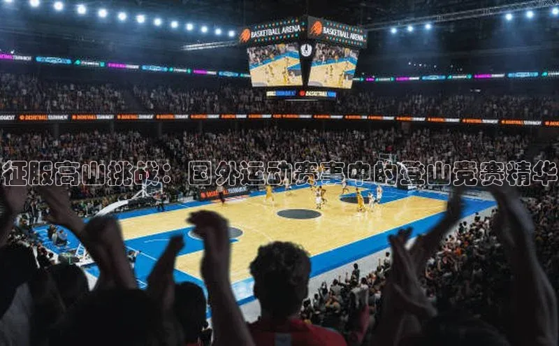 杏宇手游官网入口最新版本更新内容