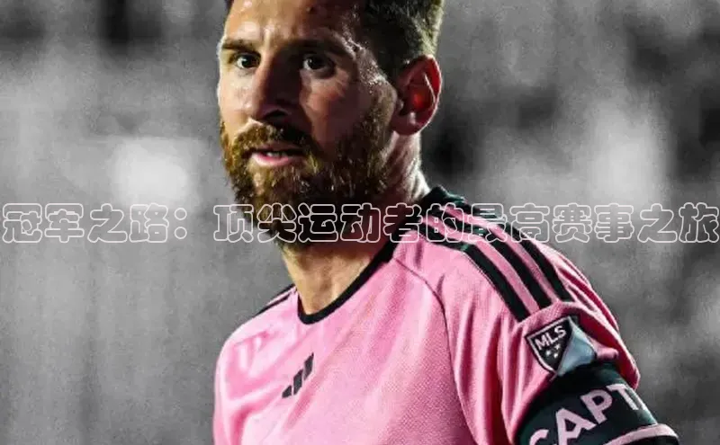 杏宇平台登录入口注册账号