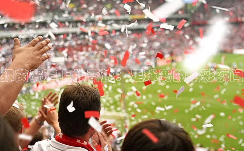 杏宇平台代理注册